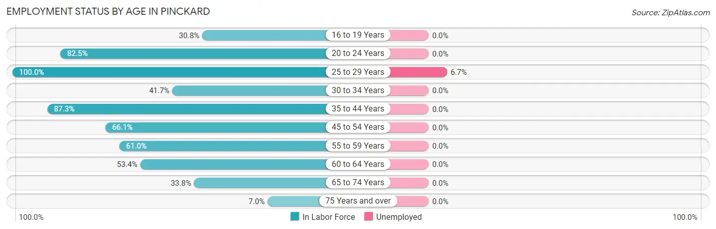 Employment Status by Age in Pinckard