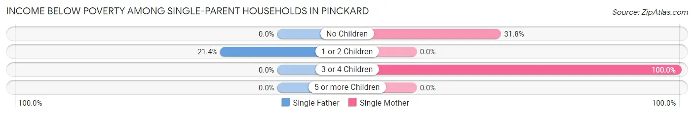 Income Below Poverty Among Single-Parent Households in Pinckard