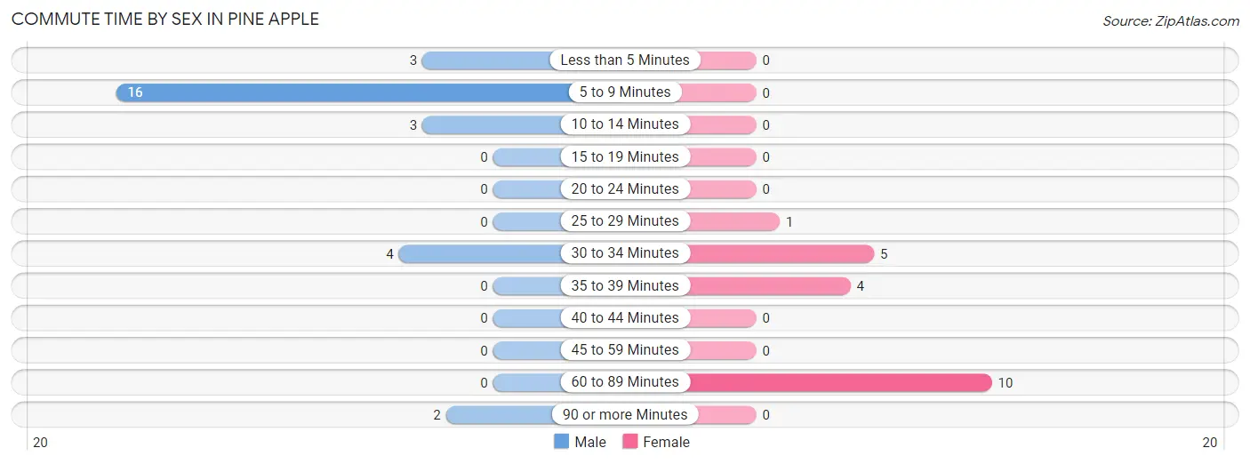 Commute Time by Sex in Pine Apple