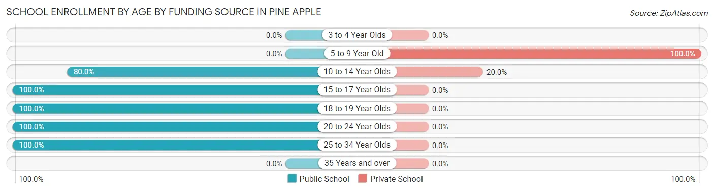 School Enrollment by Age by Funding Source in Pine Apple
