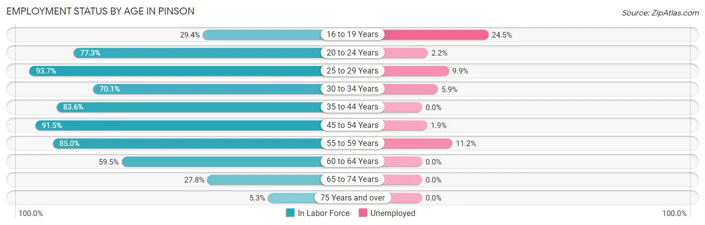 Employment Status by Age in Pinson