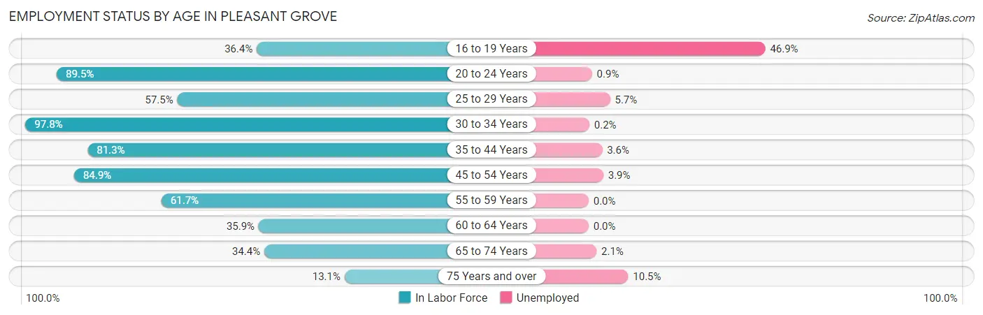 Employment Status by Age in Pleasant Grove