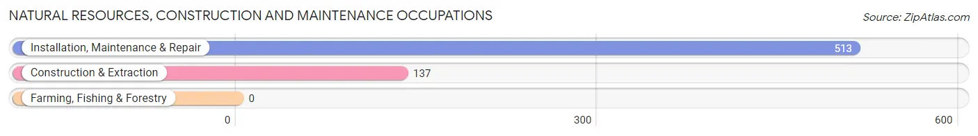 Natural Resources, Construction and Maintenance Occupations in Pleasant Grove