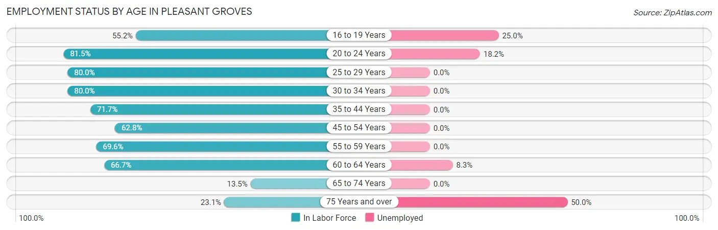 Employment Status by Age in Pleasant Groves
