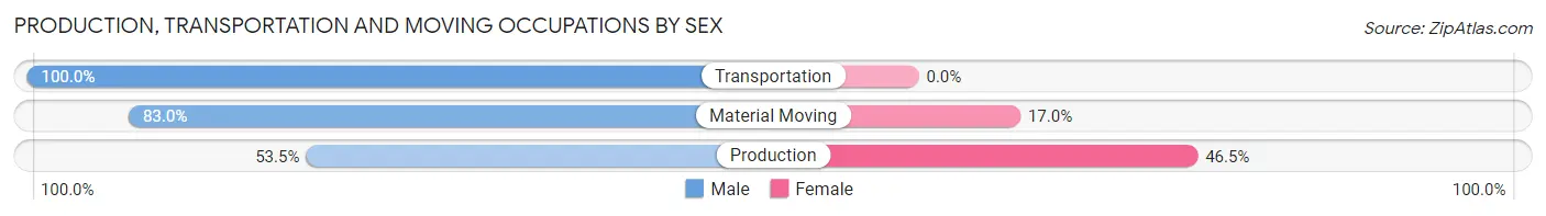Production, Transportation and Moving Occupations by Sex in Rainbow City