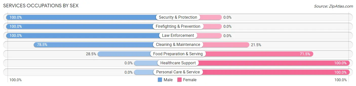 Services Occupations by Sex in Rainbow City