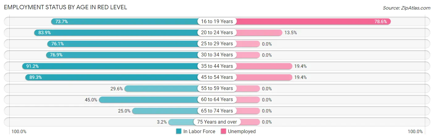 Employment Status by Age in Red Level