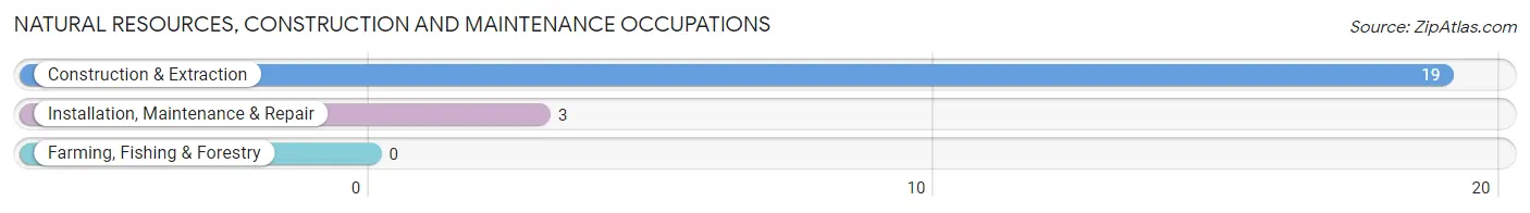 Natural Resources, Construction and Maintenance Occupations in Reece City