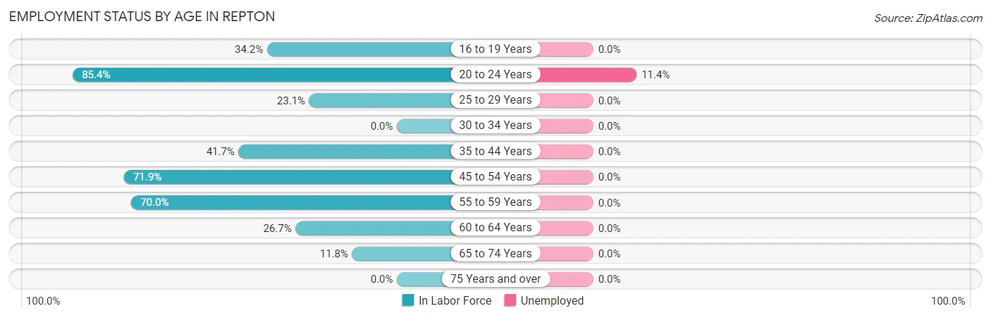 Employment Status by Age in Repton