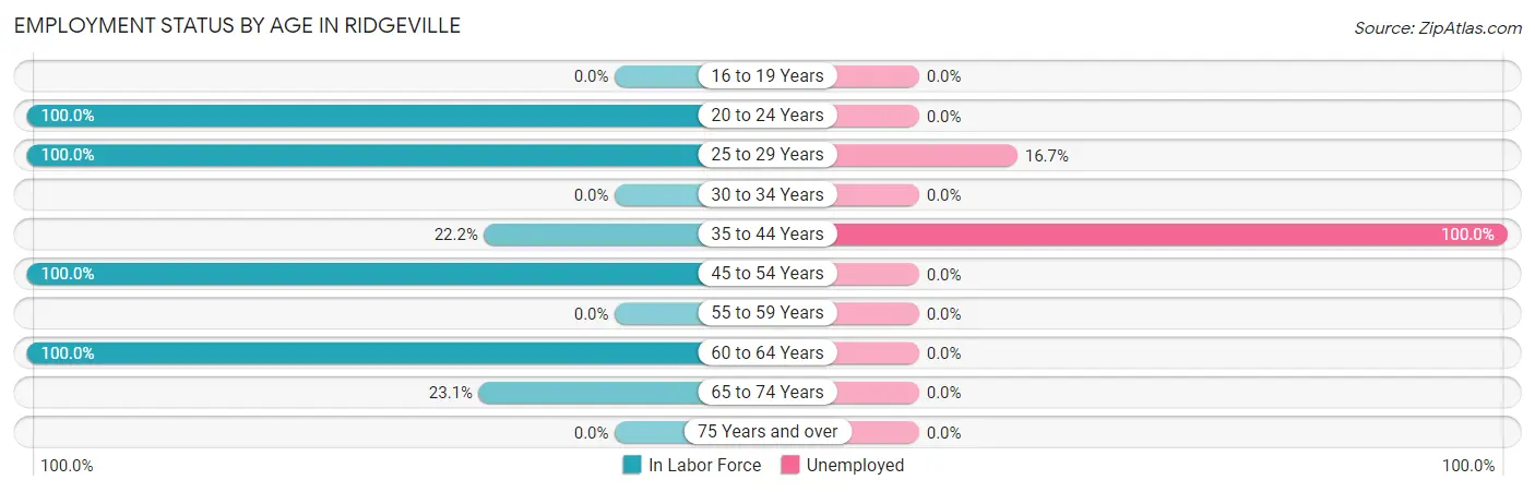 Employment Status by Age in Ridgeville