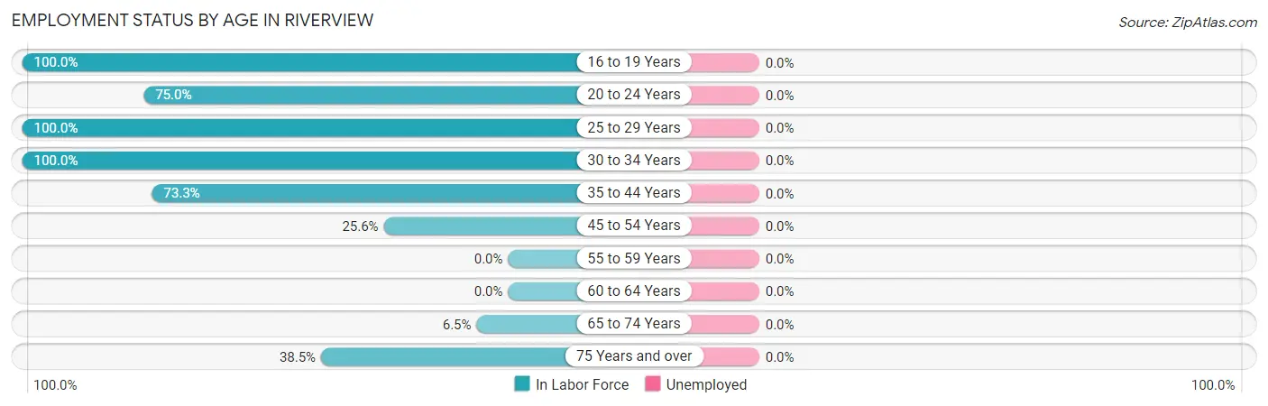 Employment Status by Age in Riverview