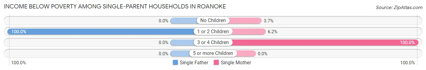 Income Below Poverty Among Single-Parent Households in Roanoke