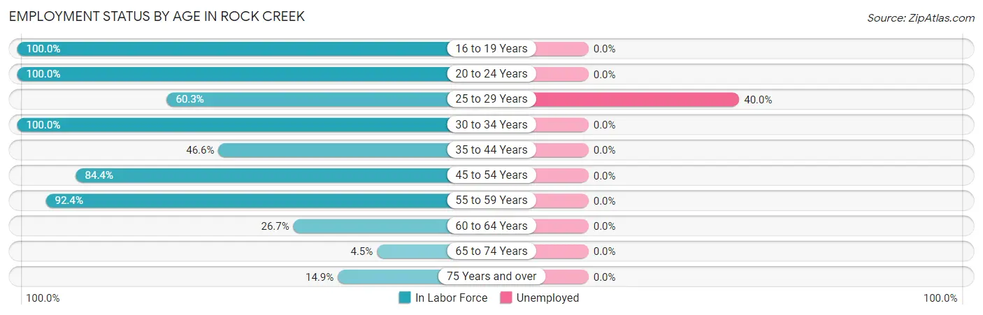 Employment Status by Age in Rock Creek