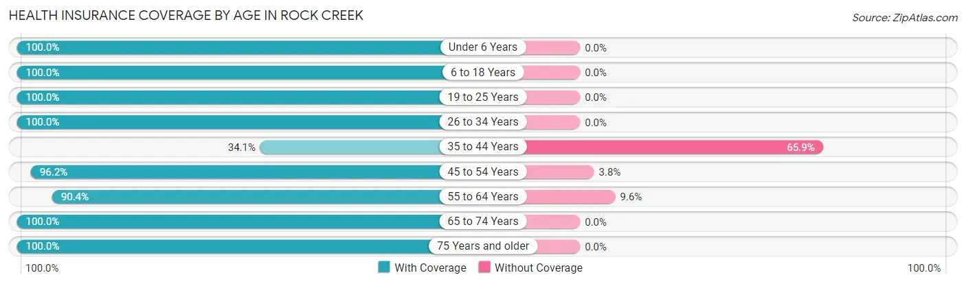 Health Insurance Coverage by Age in Rock Creek
