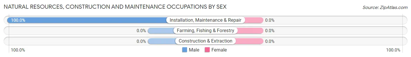 Natural Resources, Construction and Maintenance Occupations by Sex in Rock Creek