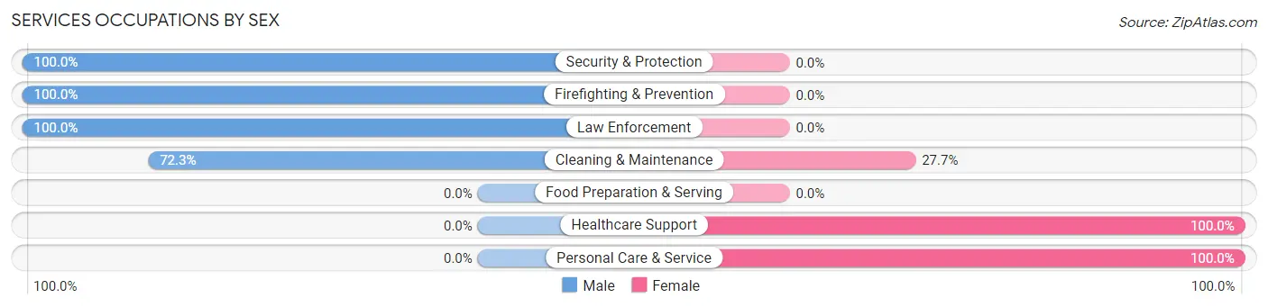 Services Occupations by Sex in Rock Creek