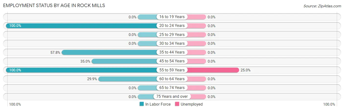 Employment Status by Age in Rock Mills