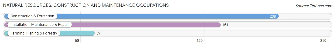 Natural Resources, Construction and Maintenance Occupations in Saks