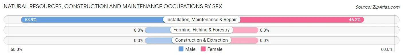 Natural Resources, Construction and Maintenance Occupations by Sex in Sand Rock