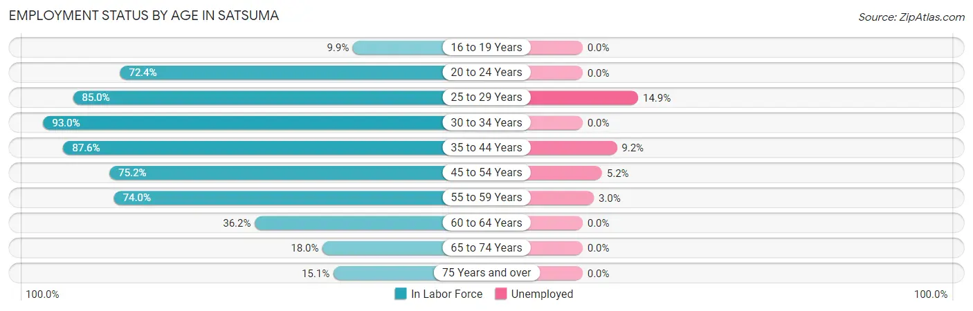 Employment Status by Age in Satsuma