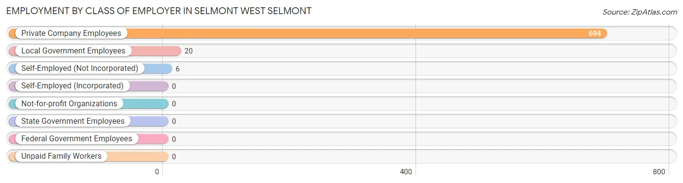 Employment by Class of Employer in Selmont West Selmont