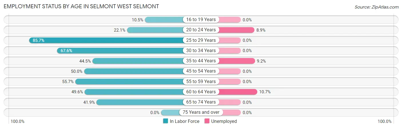 Employment Status by Age in Selmont West Selmont