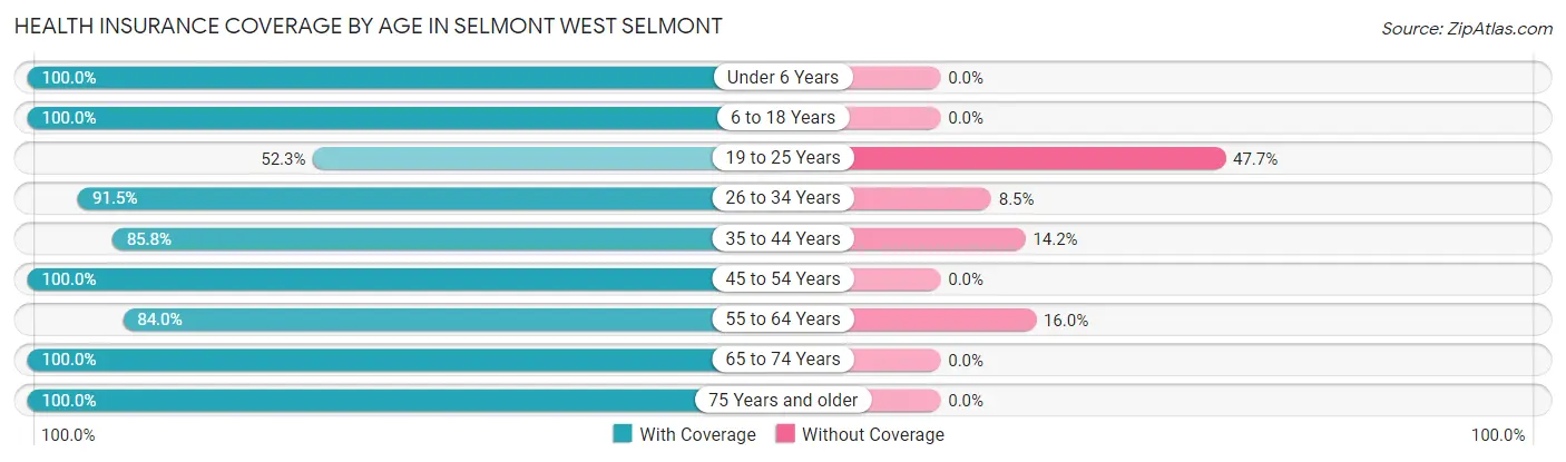 Health Insurance Coverage by Age in Selmont West Selmont