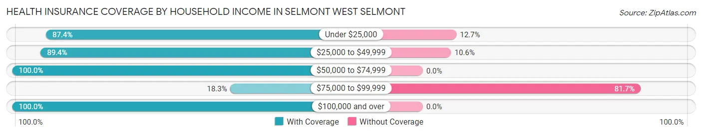 Health Insurance Coverage by Household Income in Selmont West Selmont