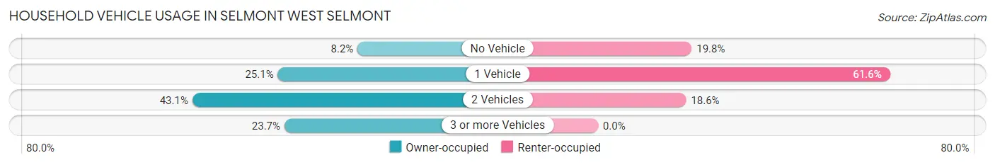 Household Vehicle Usage in Selmont West Selmont