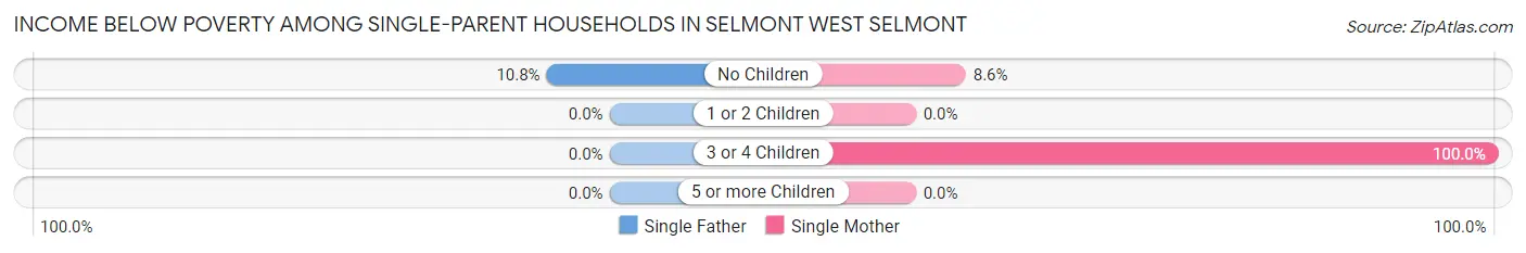 Income Below Poverty Among Single-Parent Households in Selmont West Selmont