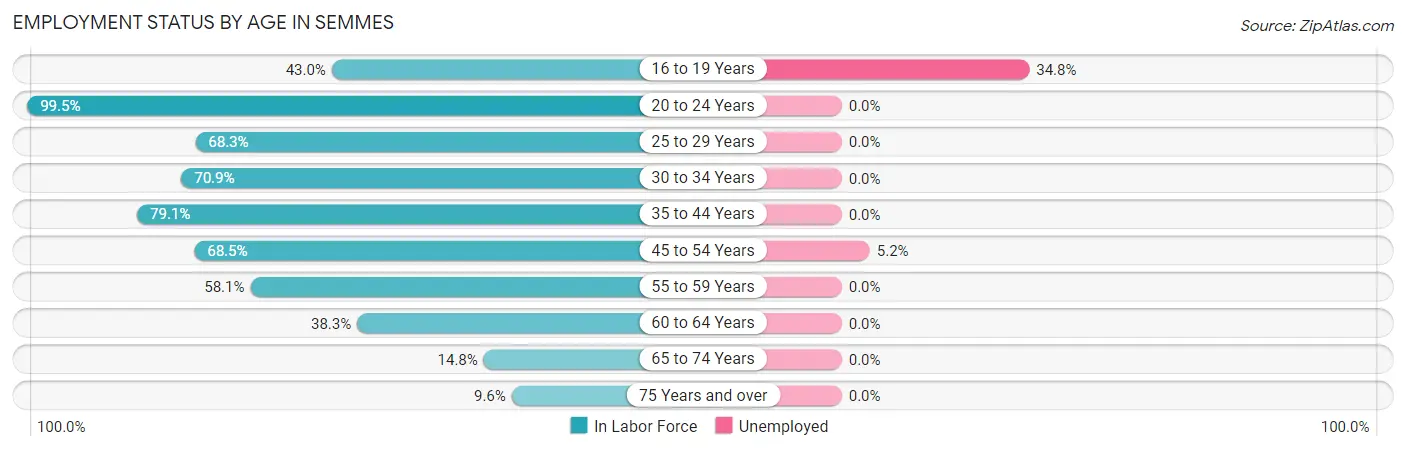Employment Status by Age in Semmes
