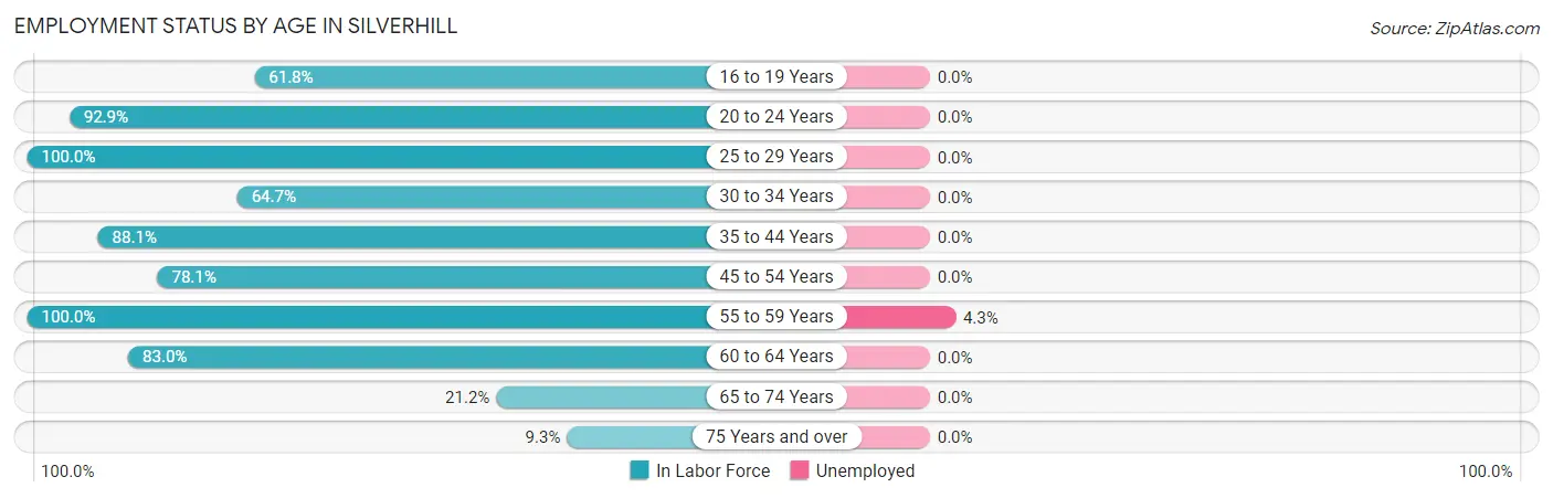 Employment Status by Age in Silverhill