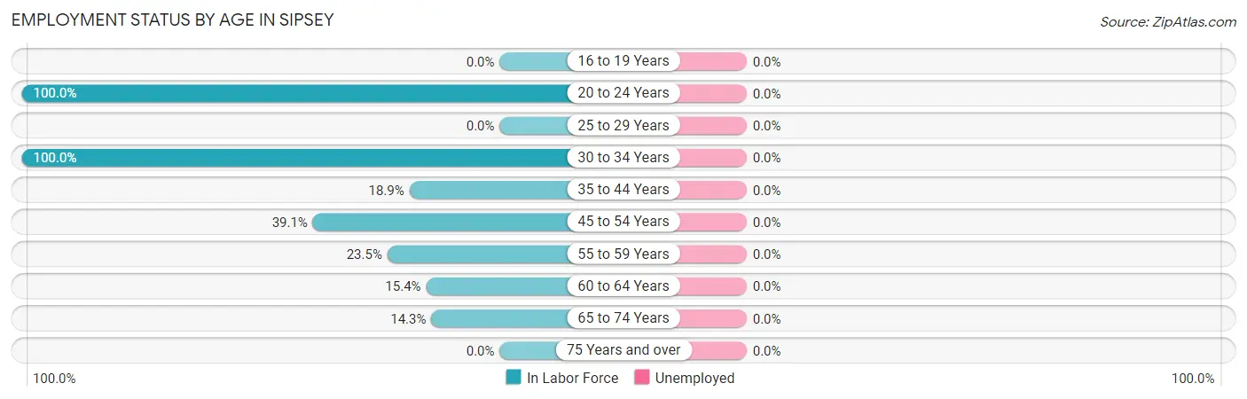 Employment Status by Age in Sipsey