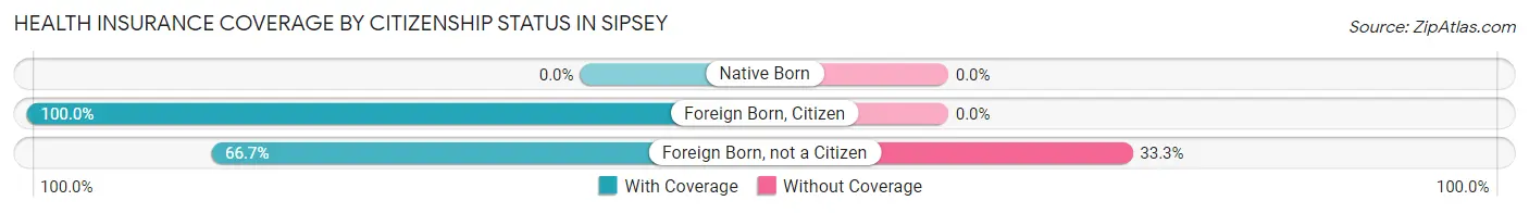 Health Insurance Coverage by Citizenship Status in Sipsey