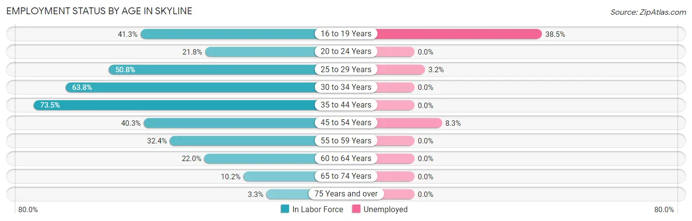 Employment Status by Age in Skyline