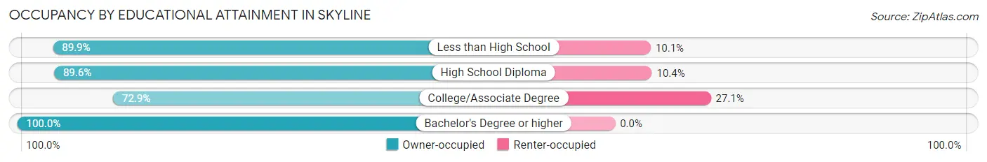 Occupancy by Educational Attainment in Skyline