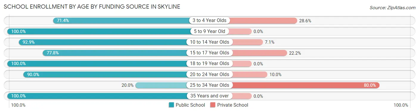 School Enrollment by Age by Funding Source in Skyline