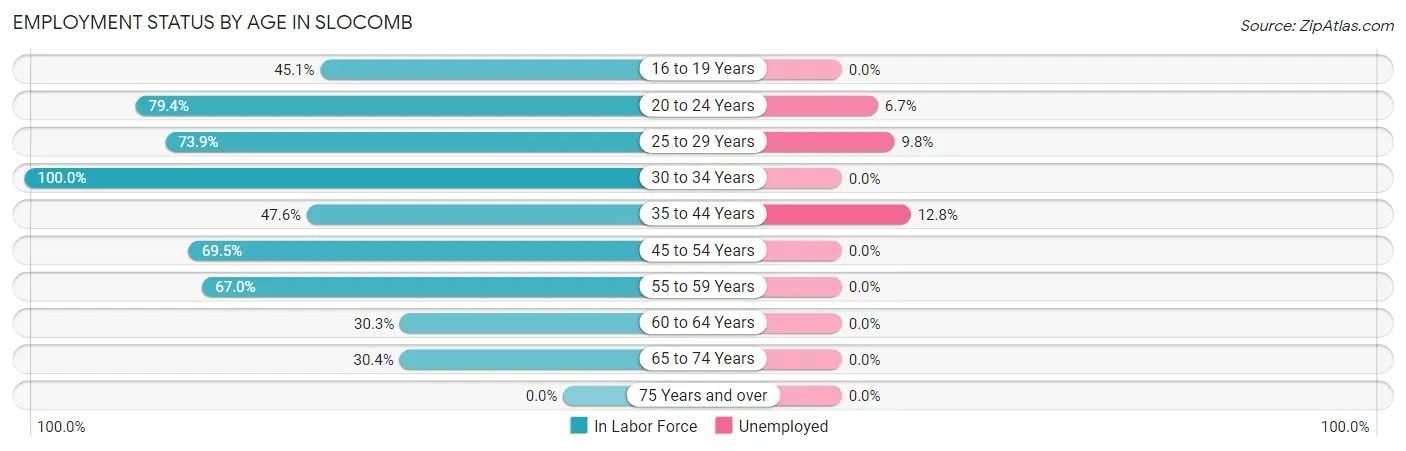 Employment Status by Age in Slocomb
