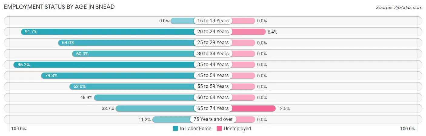 Employment Status by Age in Snead