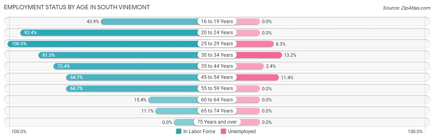 Employment Status by Age in South Vinemont