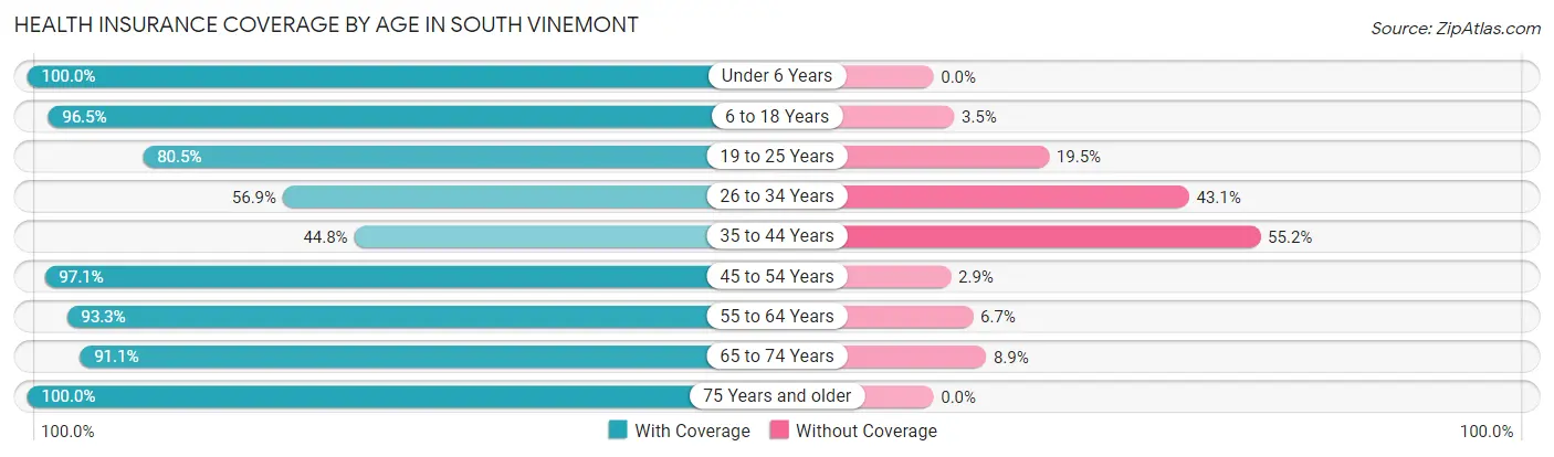 Health Insurance Coverage by Age in South Vinemont