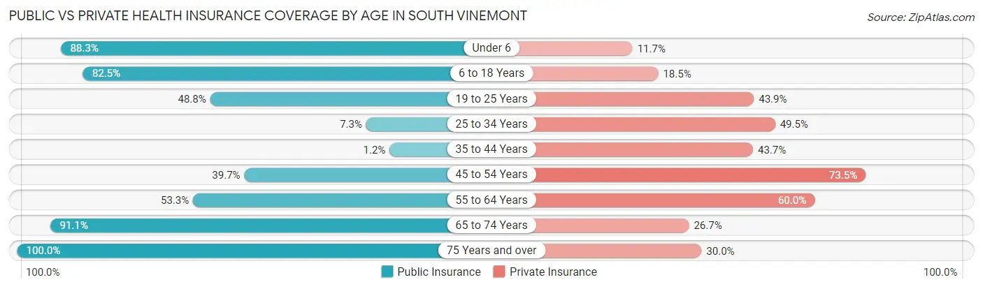 Public vs Private Health Insurance Coverage by Age in South Vinemont