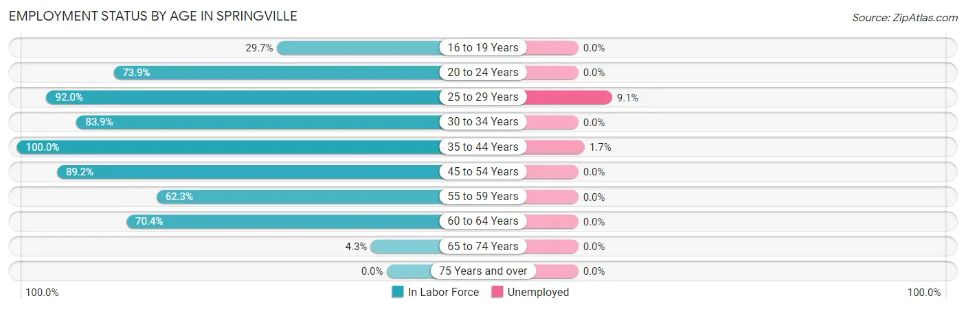 Employment Status by Age in Springville