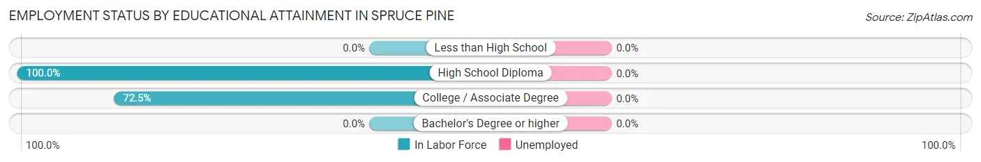 Employment Status by Educational Attainment in Spruce Pine
