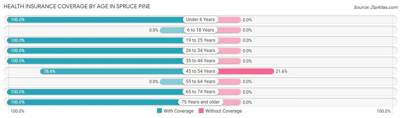 Health Insurance Coverage by Age in Spruce Pine