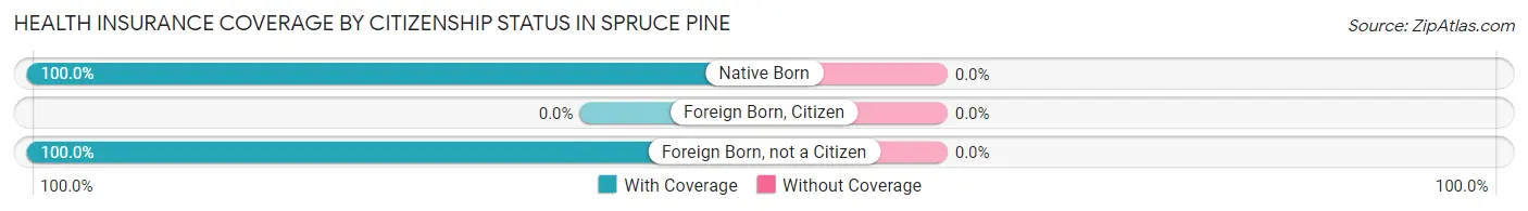 Health Insurance Coverage by Citizenship Status in Spruce Pine