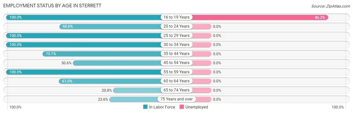 Employment Status by Age in Sterrett