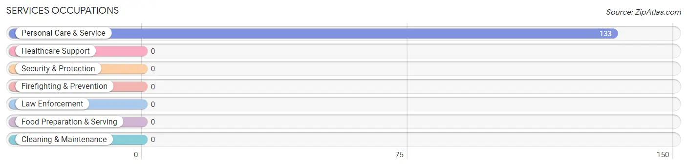 Services Occupations in Stewartville