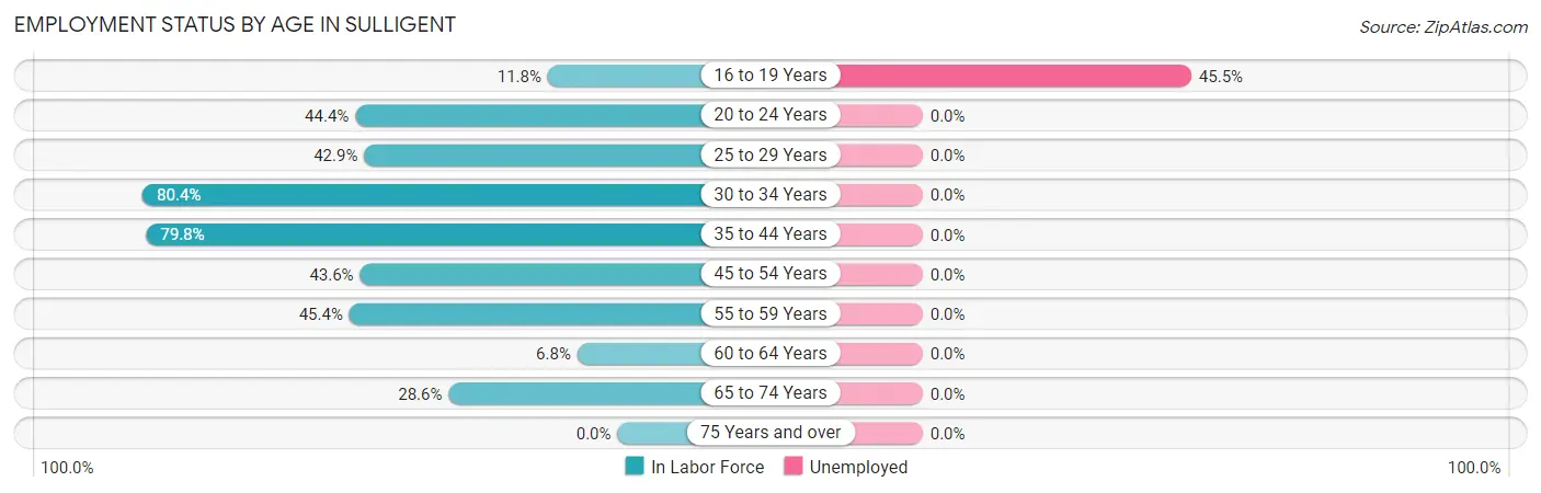 Employment Status by Age in Sulligent
