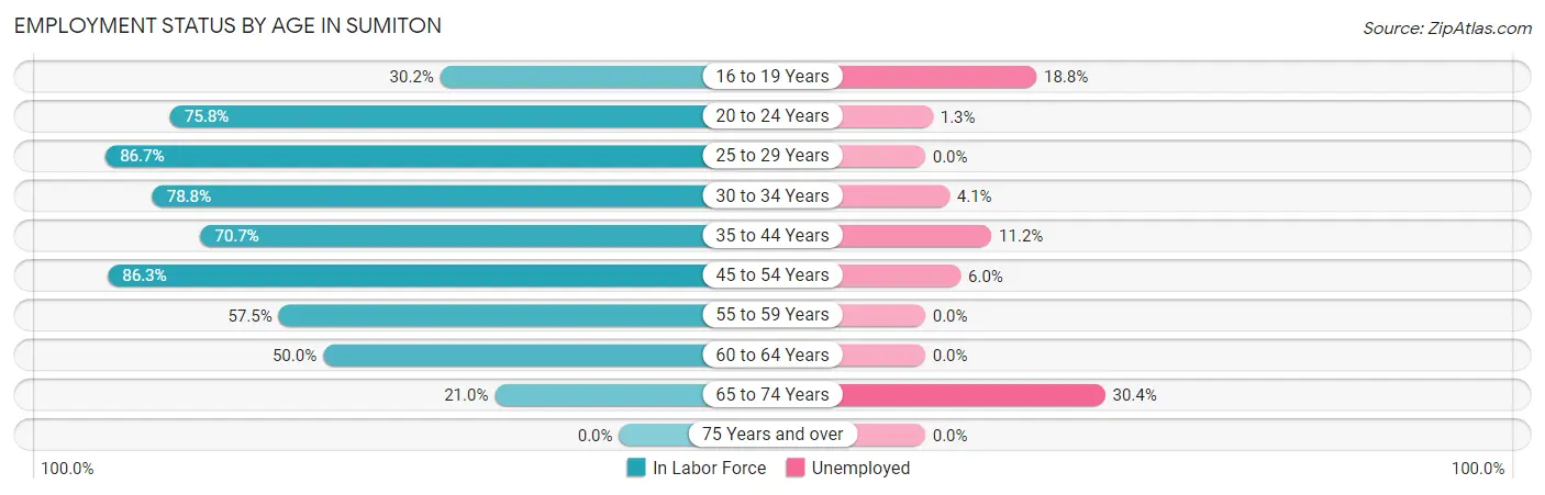 Employment Status by Age in Sumiton